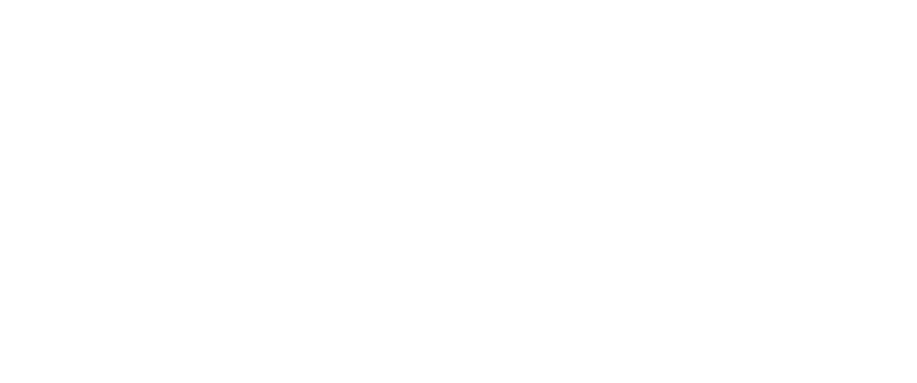Project Logo